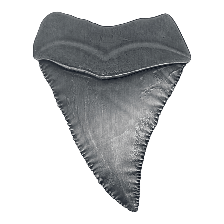Jaws 50th Anniversary Shark Tooth Medallion
