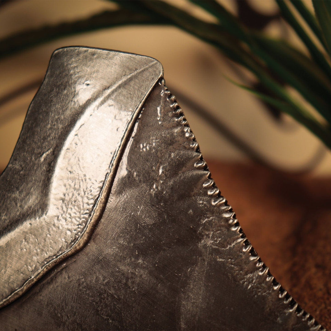 Jaws 50th Anniversary Shark Tooth Medallion